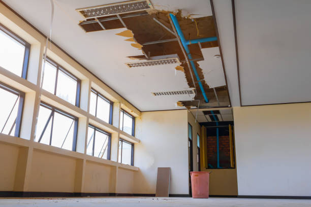 Best Professional water damage repair  in Morris, AL