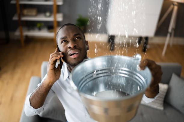 Best 24-hour water damage restoration  in Morris, AL