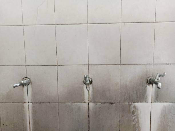 Best Water damage restoration company  in Morris, AL