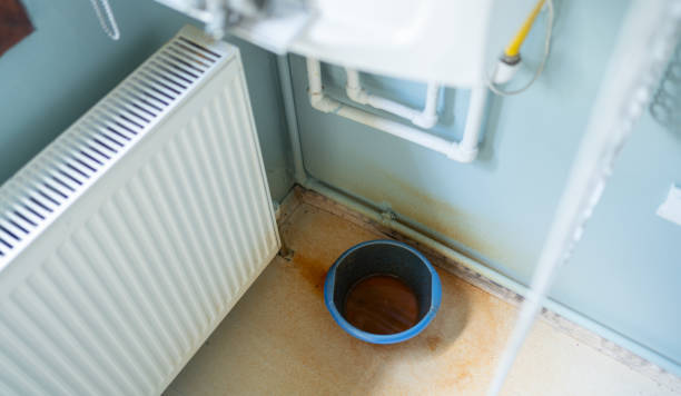 Best Ceiling water damage repair  in Morris, AL