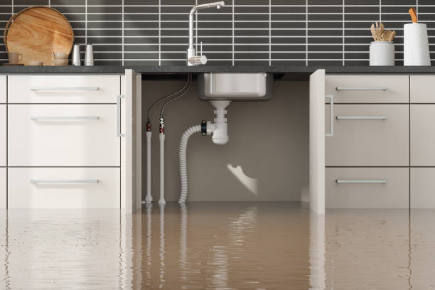 Best Water damage restoration mold remediation  in Morris, AL